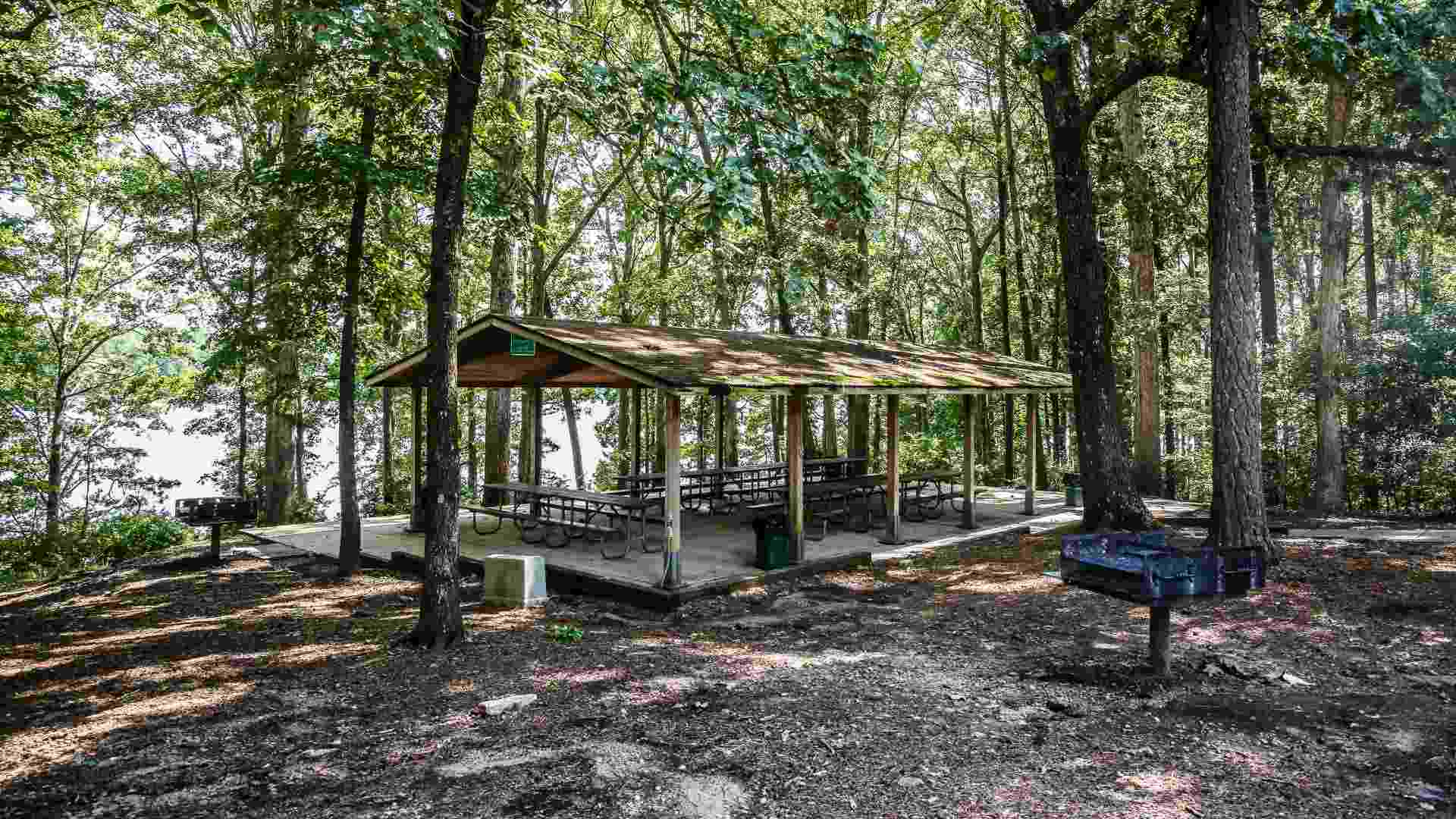 Lake Wheeler Dogwood Shelter